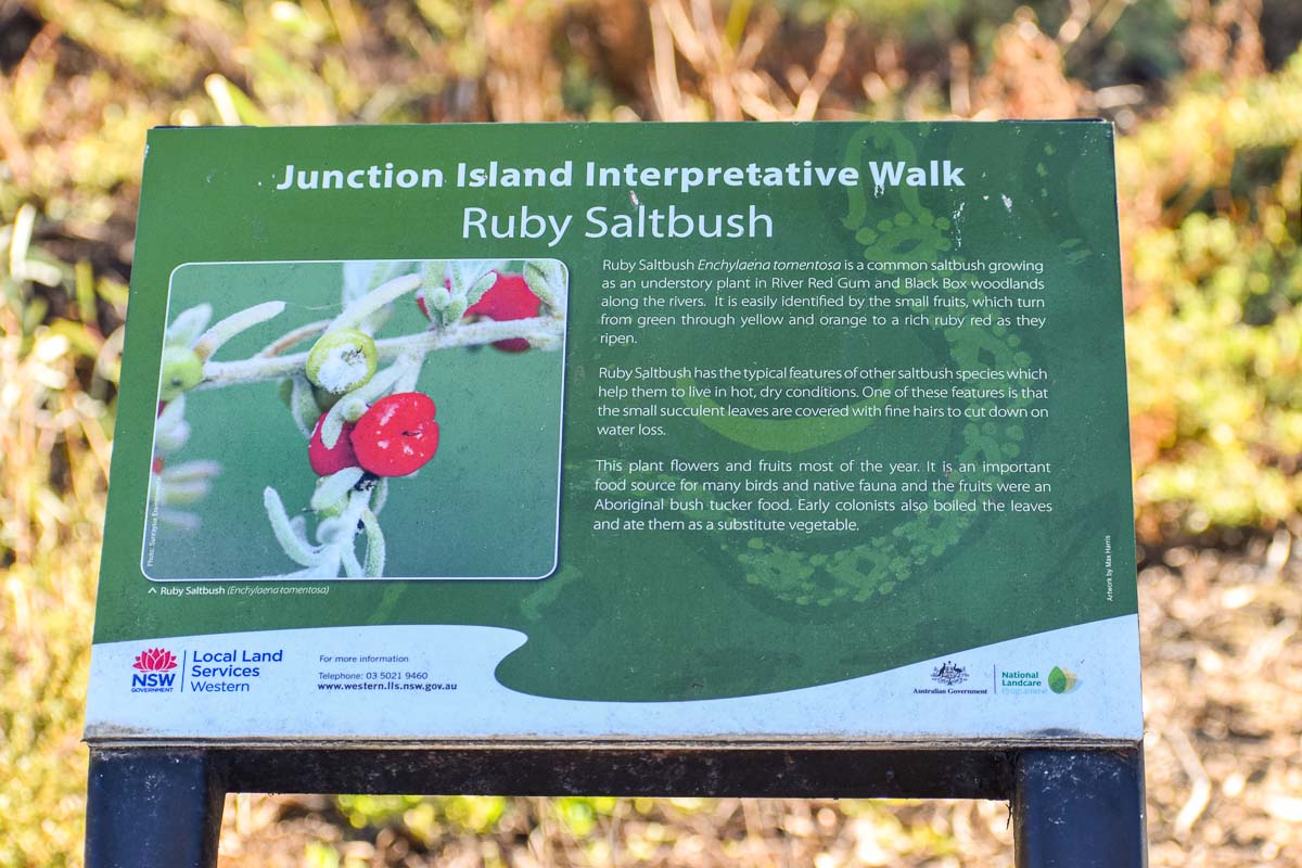 Junction Island Bridge 