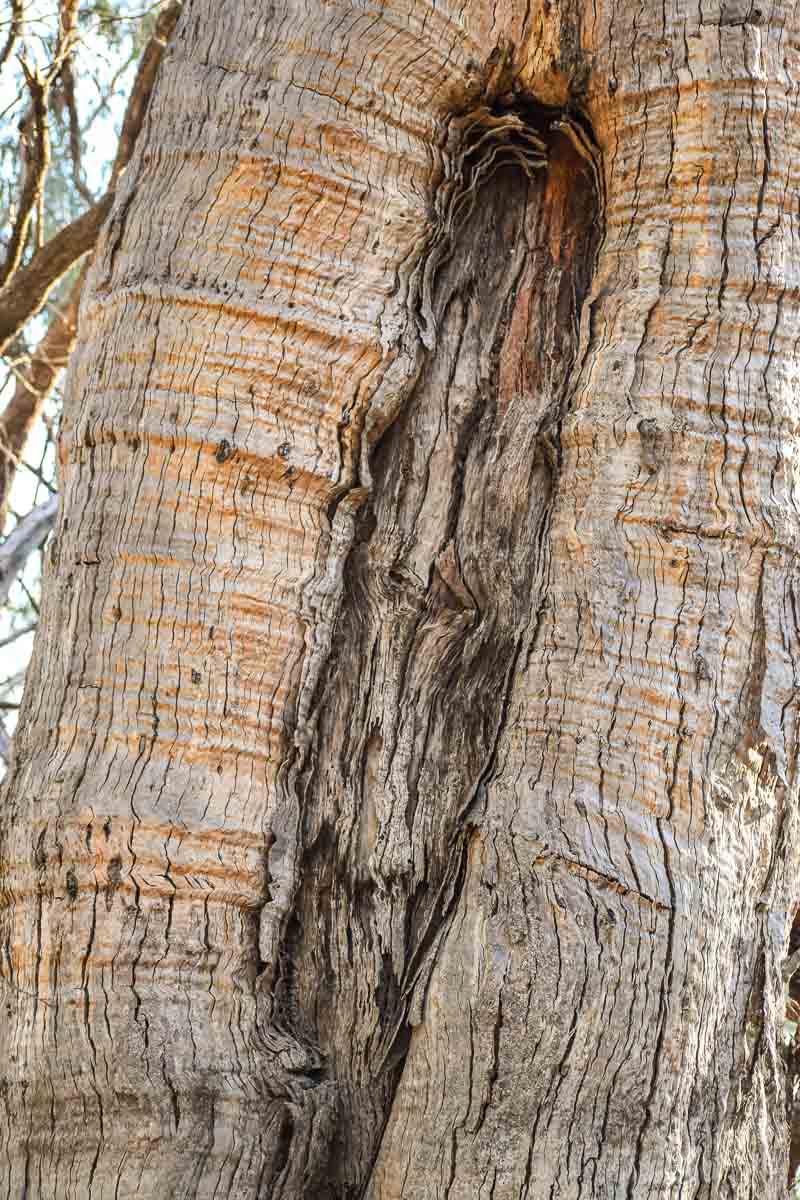 Junction Island Bridge 