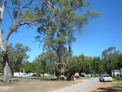 Buronga 