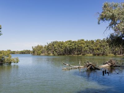 Murray River